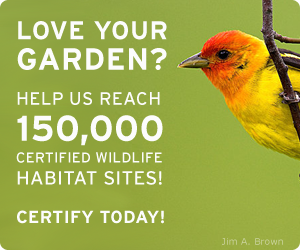 Certify your yard today!